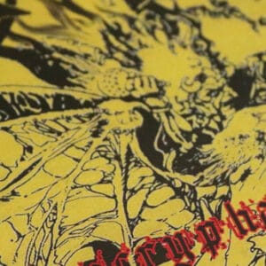 decayed apocryphal spells CD vicious witch records