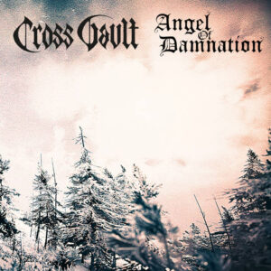 ANGEL OF DAMNATION CROSS VAULT 10 inch split vicious witch records